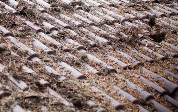 Edwardstone roof cleaning companies