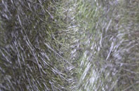 Edwardstone fibreglass roof work